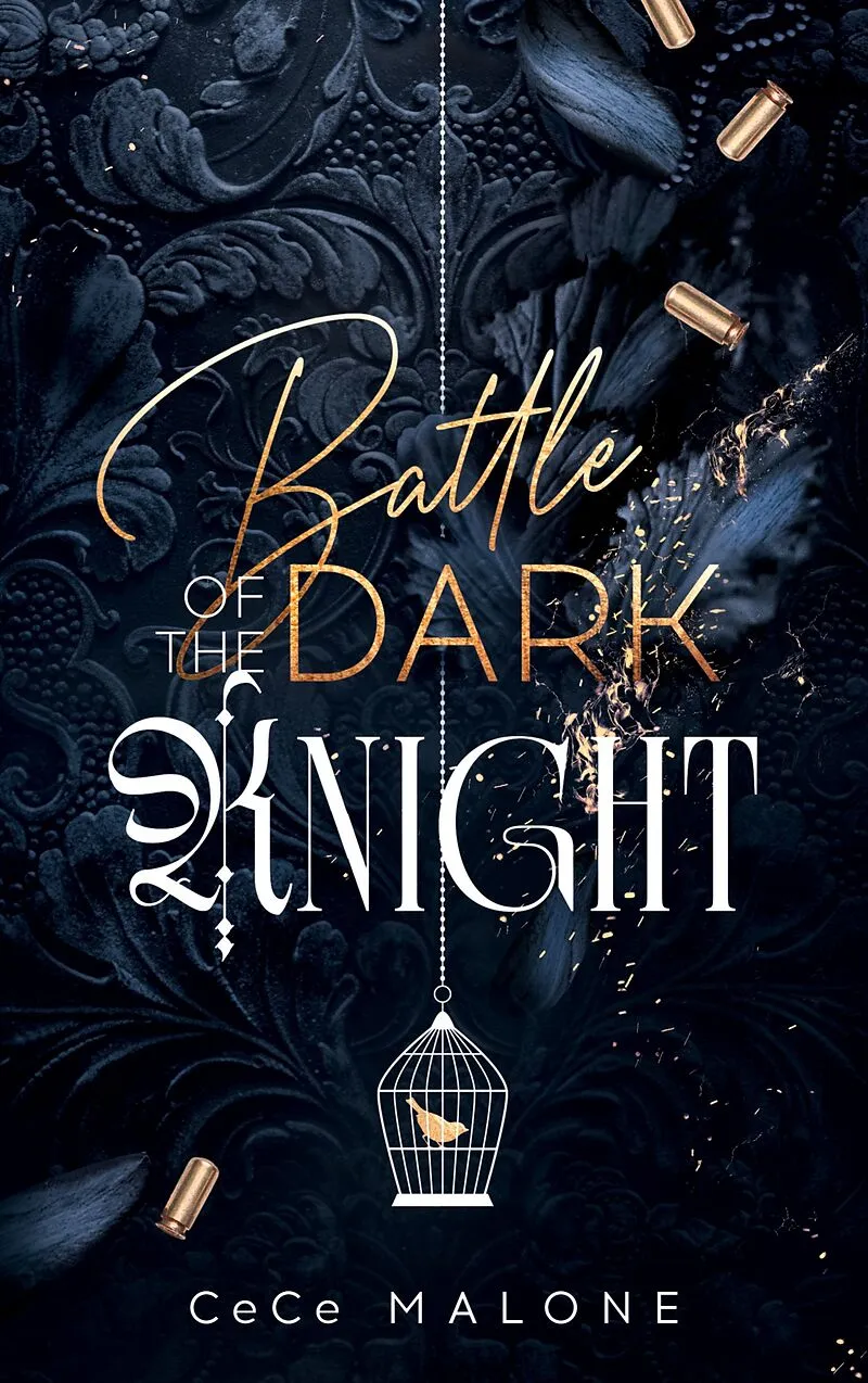 Battle of the dark Knight