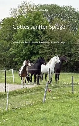 E-Book (epub) Gottes sanfter Spiegel von Sabine Schröder