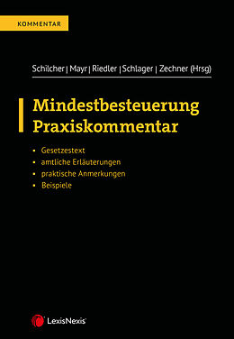 Fester Einband Mindestbesteuerung von Ana Djakovic, Birgit Hebenstreit, Pavel Knesl