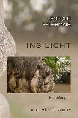 E-Book (epub) Ins Licht von Leopold Federmair