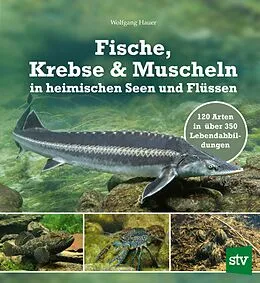 E-Book (pdf) Fische, Krebse &amp; Muscheln in heimischen Seen und Flüssen von Wolfgang Hauer