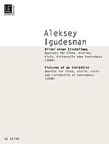 Aleksey Igudesman Notenblätter Bilder einer Einstellung für Flöte