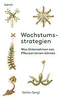 E-Book (epub) Wachstumsstrategien von Stefan Sengl