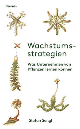 E-Book (epub) Wachstumsstrategien von Stefan Sengl