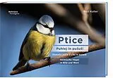  Ptice - puhlej in poui von Rezi Kolter