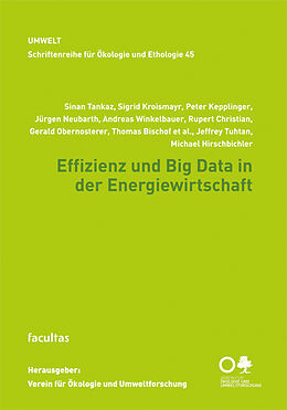 Paperback Effizienz und Big Data in der Energiewirtschaft von Monika Hirschmugl-Fuchs, Henrike Bayer, Peter Kepplinger