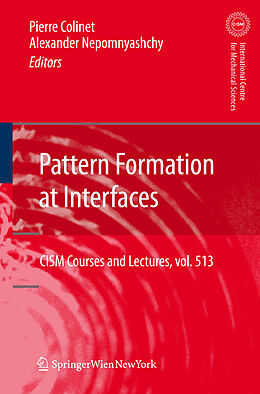 Fester Einband Pattern Formation at Interfaces von 