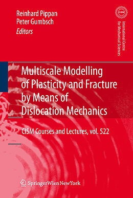 Fester Einband Multiscale Modelling of Plasticity and Fracture by Means of Dislocation Mechanics von 