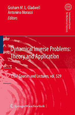 Kartonierter Einband Dynamical Inverse Problems: Theory and Application von 