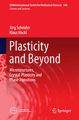 Couverture cartonnée Plasticity and Beyond de Klaus Hackl, Jörg Schröder