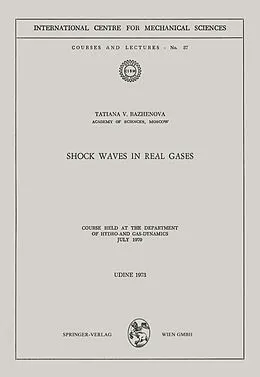 E-Book (pdf) Shock Waves in Real Gases von Tatiana V. Bazhenova