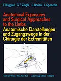 E-Book (pdf) Anatomical Exposures and Surgical Approaches to the Limbs Anatomische Darstellungen und Zugangswege in der Chirurgie der Extremitäten von Luigi Specchia, Francesco Ruggieri, Gian F. Zinghi
