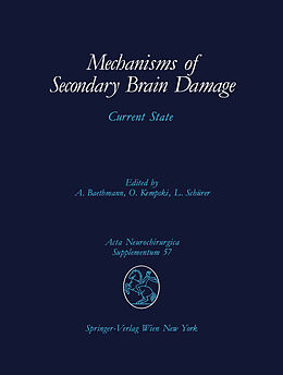 Kartonierter Einband Mechanisms of Secondary Brain Damage von 