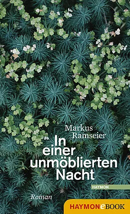 E-Book (epub) In einer unmöblierten Nacht von Markus Ramseier