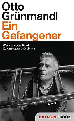 E-Book (epub) Ein Gefangener von Otto Grünmandl