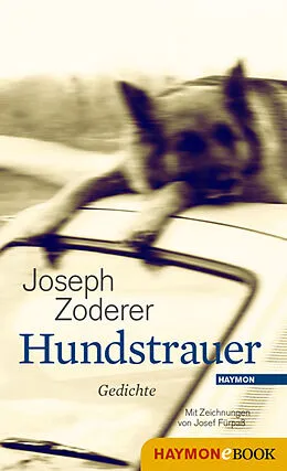 E-Book (epub) Hundstrauer von Joseph Zoderer