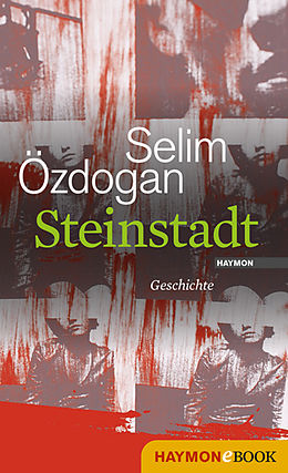 E-Book (epub) Steinstadt von Selim Özdogan