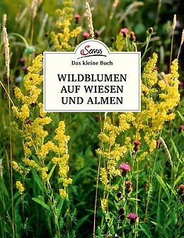 Fester Einband Das kleine Buch: Wildblumen auf Wiesen und Almen von Miriam Wiegele