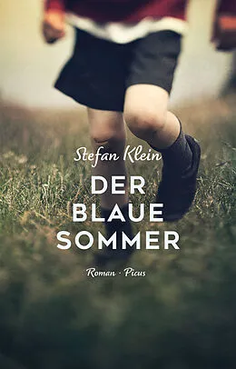 E-Book (epub) Der blaue Sommer von Stefan Klein