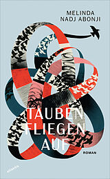 Kartonierter Einband Tauben fliegen auf von Melinda Nadj Abonji