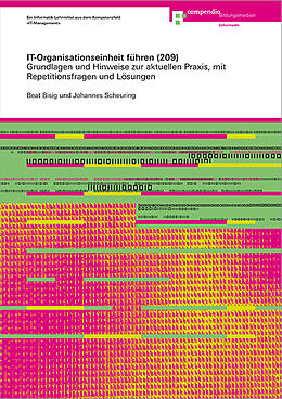 Paperback IT-Organisationseinheit führen (209) de Beat Bisig, Johannes Scheuring