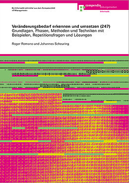 Paperback Veränderungsbedarf erkennen und umsetzen (247) von Roger Romano, Johannes Scheuring