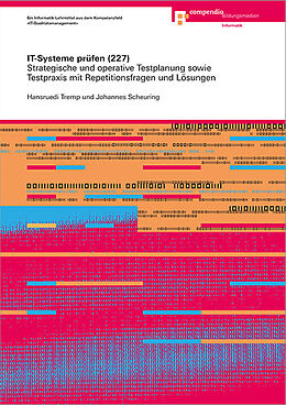 Paperback IT-Systeme prüfen (227) von Hansruedi Tremp, Johannes Scheuring