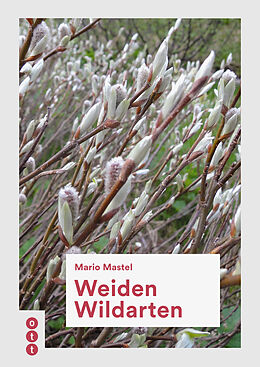 Kartonierter Einband (Kt) Weiden Wildarten von Mario Mastel