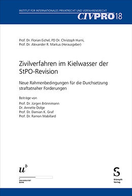 Kartonierter Einband Zivilverfahren im Kielwasser der StPO-Revision von 