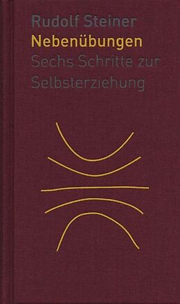 Fester Einband Die Nebenübungen von Rudolf Steiner