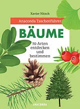 Fester Einband Anaconda Taschenführer Bäume. 70 Arten entdecken und bestimmen - von Xavier Nitsch