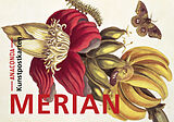 Kartonierter Einband Postkarten-Set Maria Sibylla Merian von Maria Sibylla Merian