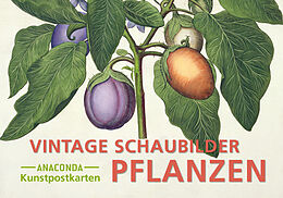 Kartonierter Einband Postkarten-Set Vintage-Schaubilder Pflanzen von 