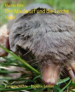E-Book (epub) Der Maulwurf und die Lerche von Marlies Kühr