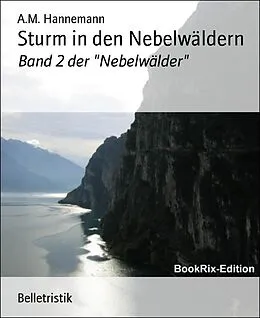 E-Book (epub) Sturm in den Nebelwäldern von A. M. Hannemann