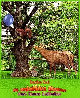 E-Book (epub) Die unglaublichen Abenteuer eines blauen Luftballon von Anneliese Koch
