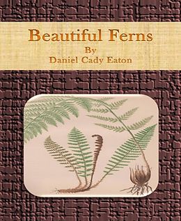 eBook (epub) Beautiful Ferns de Daniel Cady Eaton
