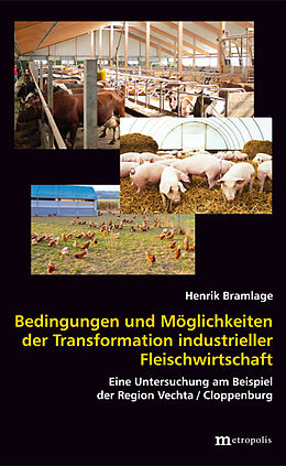 Kartonierter Einband Bedingungen und Möglichkeiten der Transformation industrieller Fleischwirtschaft von Henrik Bramlage