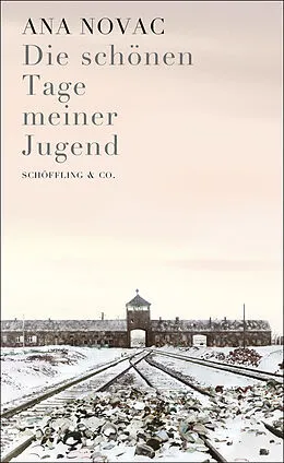 E-Book (epub) Die schönen Tage meiner Jugend von Ana Novac