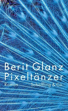 E-Book (epub) Pixeltänzer von Berit Glanz
