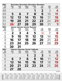 Kalender 3-Monats-Planer Comfort Grau 2023 von 