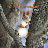 Kalender Eichhörnchen 2025 von 