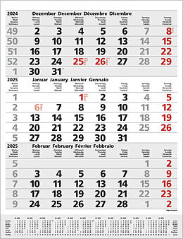 Kalender 3-Monats-Planer Comfort Grau 2025 von 