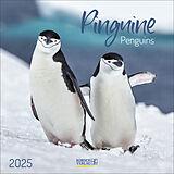 Kalender Pinguine 2025 von 