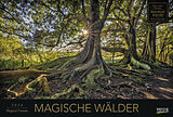 Kalender Magische Wälder 2026 von 