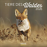 Kalender Tiere des Waldes 2026 von