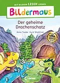 E-Book (epub) Bildermaus - Der geheime Drachenschatz von Anna Taube