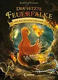 E-Book (epub) Der letzte Feuerfalke und das geheime Labyrinth (Band 10) von Katrina Charman