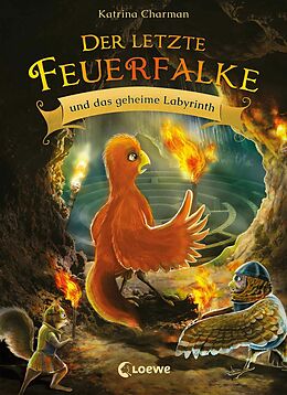 E-Book (epub) Der letzte Feuerfalke und das geheime Labyrinth von Katrina Charman