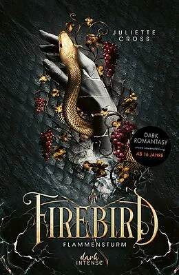 E-Book (epub) Flammensturm (Band 1) - Firebird von Juliette Cross
